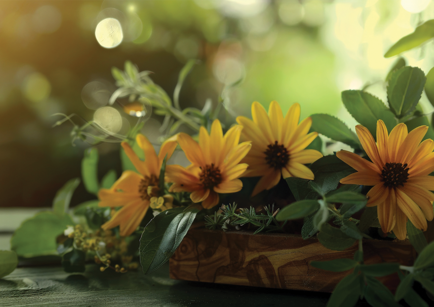 Karnataka Aromas supplies natural essential oils for wellness and aromatherapy applications